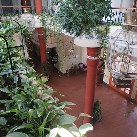 Estudio Reina Y Pastora El Rocio Appartement Buitenkant foto